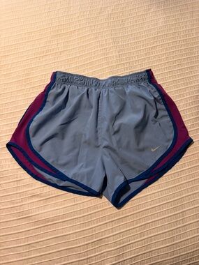 Nike Dry-Fit Light Blue Running Shorts with Purple & Navy Accents